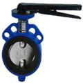 fb0369eb_hand-lever-operated-butterfly-valves-2