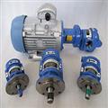 fb282f30_Gear-Pump1