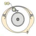 fd0658f3_chain-pulley-blocks-rs-model-1