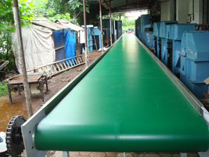 PVC Belt in MS