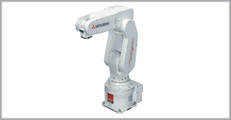 Multiple-Joints Robot