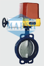Electrical Actuators