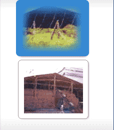 Tarpaulins, Monsoon Sheds, Cotton Canvas Tarpaulins, Poly Tarpaulins, Packing Material Suppliers, Mumbai, India