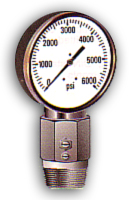Diaphragm Sealed Gauges