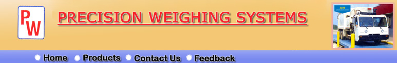 Electronic Weigh Bridges