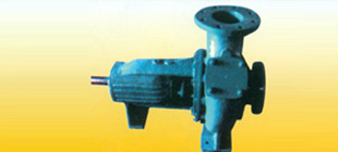 ESH Pumps