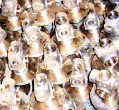 Non - Ferrous Castings