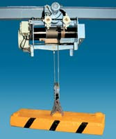 Wire Rope Electric Hoist