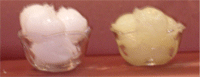 Petroleum Jelly