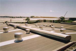 THE HURRICANE'S VERTICAL VANES