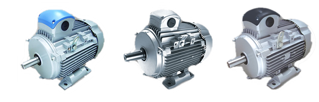 Delphi Eff2/Eff1, IE2/IE3 Motors