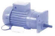 GEARED MOTORS