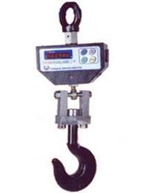 CRANE SCALE 