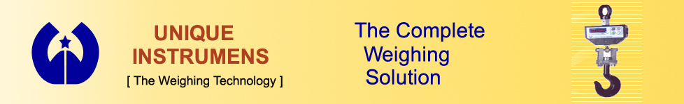 Electronic Weighing Scales, Platform Weighing Scale, Jewellery Weighing Scale, Table Top Scales, Mumbai, India