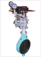 Vane Type Pneumatic Actuators 