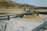 OIL SKIMMER