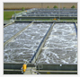 Sewage Water Treatment Plants :