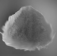 aluminium_chloride.webp