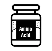 amino_acids.webp