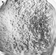 calcium_nitrate.webp