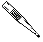 digital_thermometers.webp