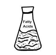 fatty_acids.webp