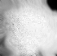 ferric_alum.webp