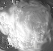glycollate.webp