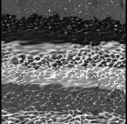 granules_plastic.webp