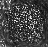 ld_granules.webp