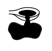 molasses.webp