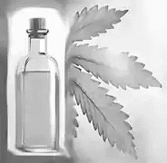 neem_oil.webp