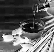 palm_oil.webp