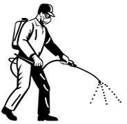 pest_control_services.webp
