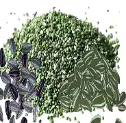 seeds.webp
