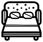 sofa_cum_bed.webp