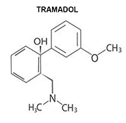 tramadol_hydrochloride.webp