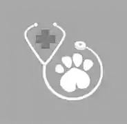 veterinary_medicine.webp