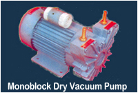 Monoblock Dry Vacuum Pump