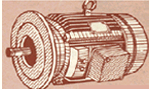 Special Purpose Electric Motors